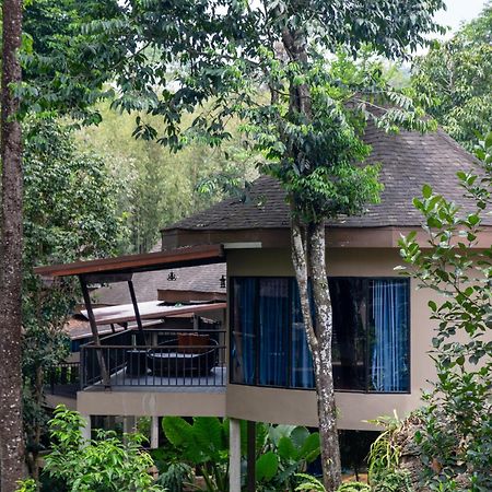 Rock And Tree House Resort Khao Sok National Park Екстериор снимка