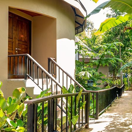 Rock And Tree House Resort Khao Sok National Park Екстериор снимка