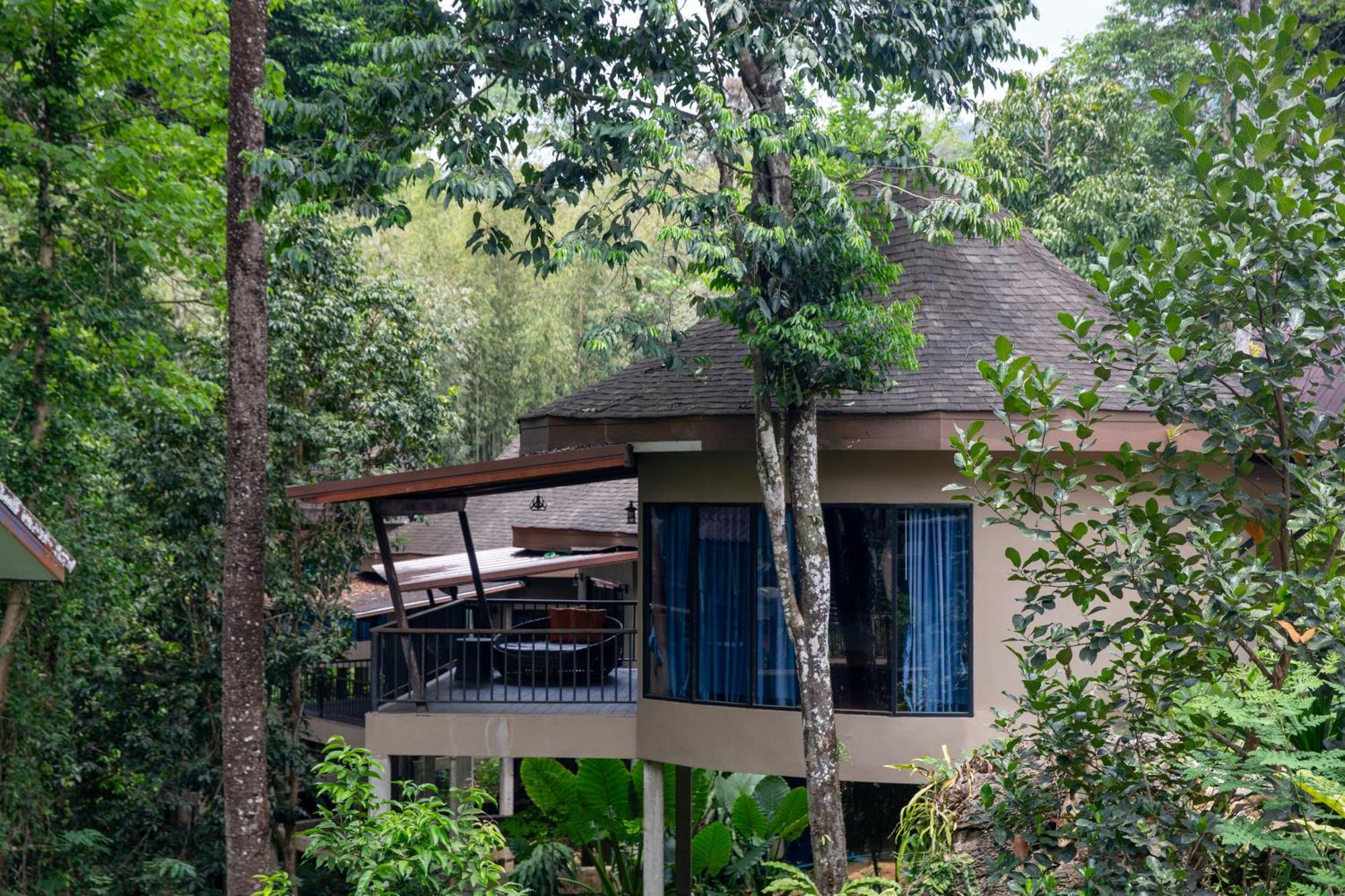 Rock And Tree House Resort Khao Sok National Park Екстериор снимка